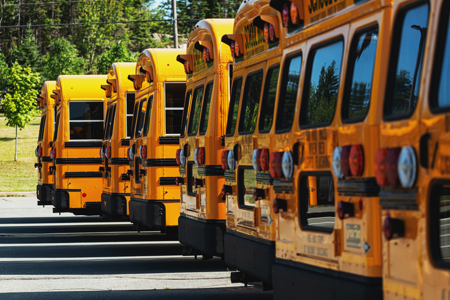 School Bus Fleet